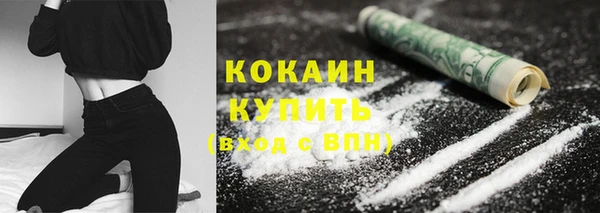 гидра Новозыбков