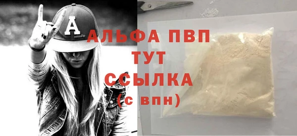 гидра Новозыбков