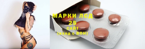 спайс Новодвинск