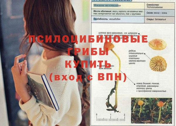 гидра Новозыбков