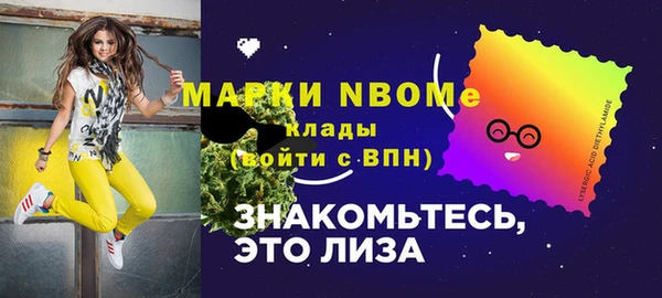 гидра Новозыбков