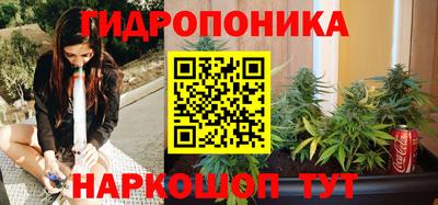 гидропоника Бийск