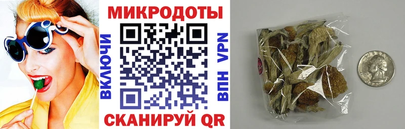 Псилоцибиновые грибы мицелий mega как зайти Реутов