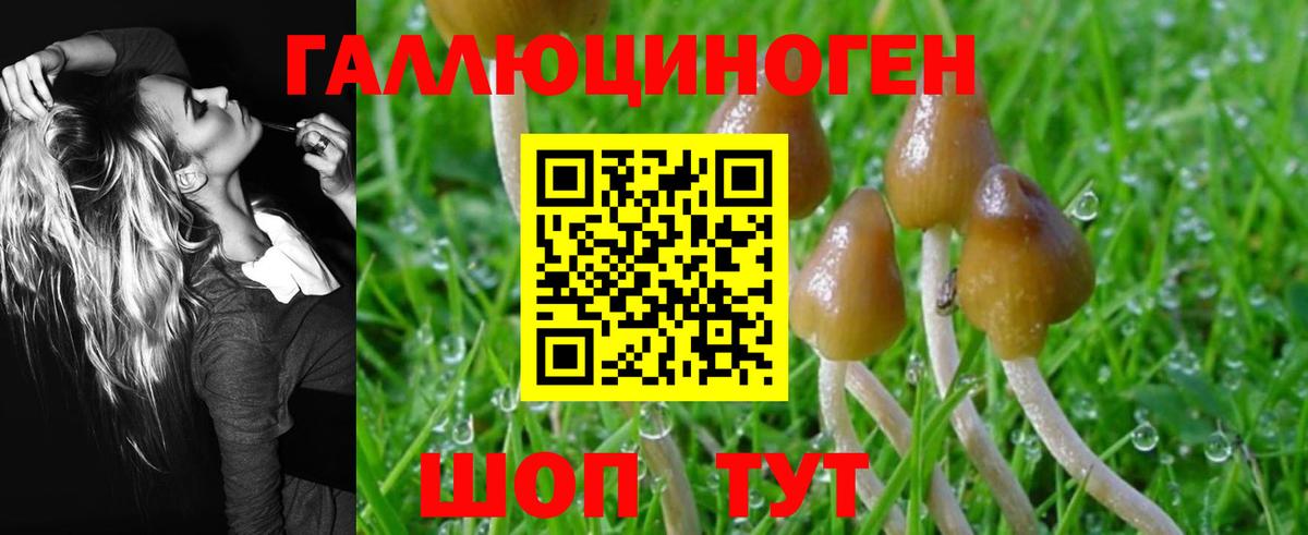 Псилоцибиновые грибы Psilocybine cubensis  Вход с VPN  Реутов 